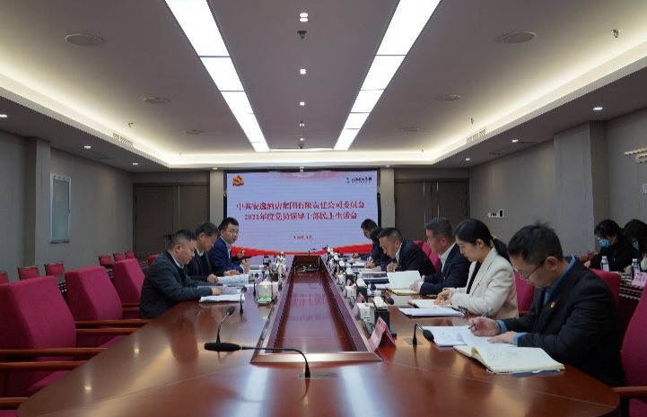 尊龙凯时集团党委书记、董事长任丁出席安逸酒店集团2022年度党员领导干部民主生活会